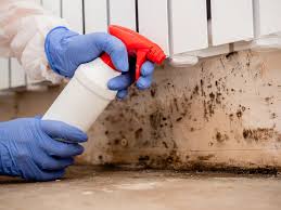 Best Indoor Air Quality Assessment  in La Vale, MD